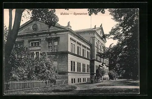 AK Wohlau, Strassenpartie am Gymnasium