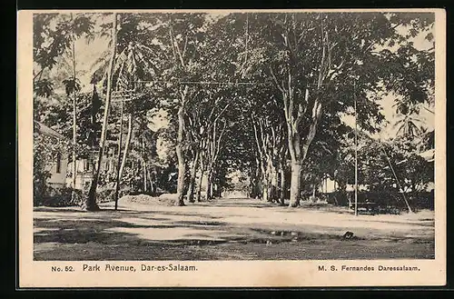 AK Daressalam, Park Avenue mit Palmen