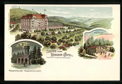 Lithographie Heidelberg, Kohlhof-Hotel, Aussichtsturm Posselt`s Lust