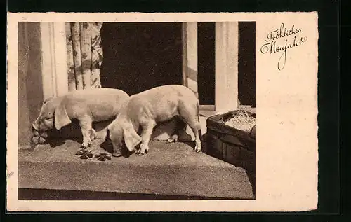 AK Zwei Schweine mit Glückskleeblättern - Neujahrsgruss