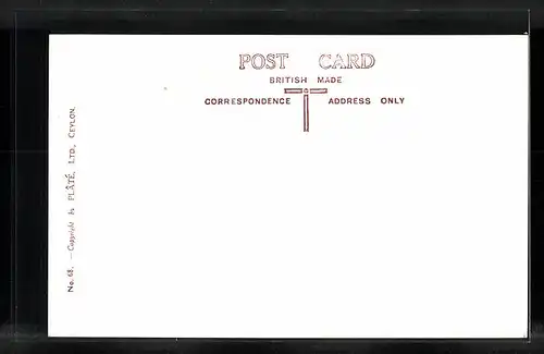 AK Ochsengespann in Ceylon