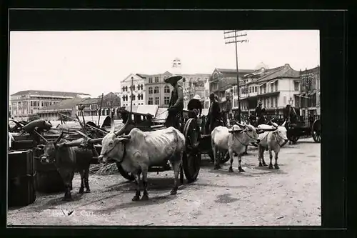 AK Ochsengespanne in Asien