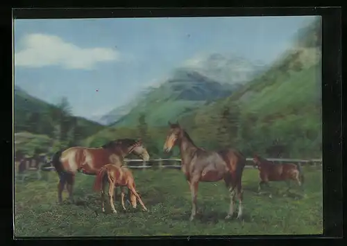 3D-AK Pferde mit Fohlen auf Weide in Berglandschaft