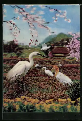 3D-AK Reiher auf Wiese mit Kirschblüten