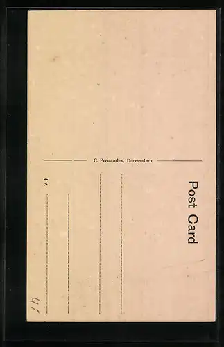 AK Daressalam, Eucalyptus tree