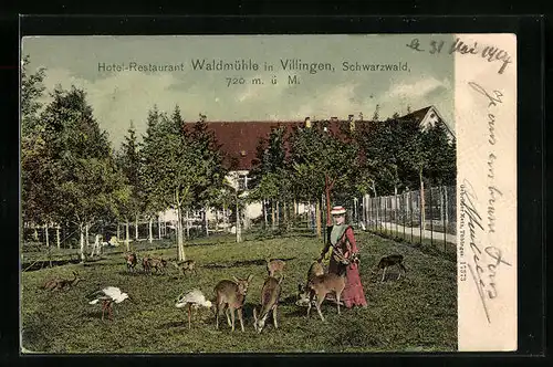 AK Villingen /Schwarzwald, Rehe und Störche vor Hotel-Restaurant Waldmühle