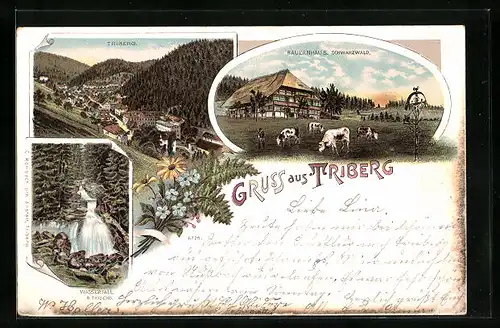 Lithographie Triberg, Bauernhaus Schwarzwald, Triberg, Wasserfall