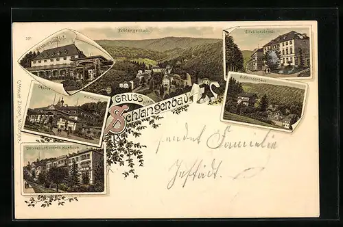 Lithographie Schlangenbad, Hotel Nassauer Hof, Kurhaus, Ortsansicht