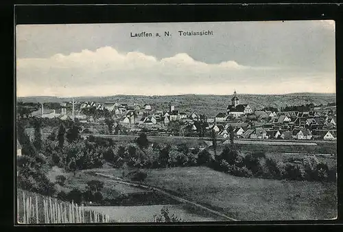 AK Lauffen a. N., Totalansicht