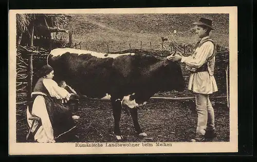 AK Rumänische Landbewohner beim Melken