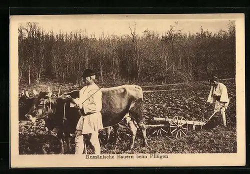 AK Rumänische Bauern beim Pflügen