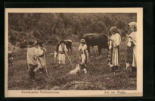 AK Rumänische Volkstrachten - Kinder hüten Kühe auf der Weide