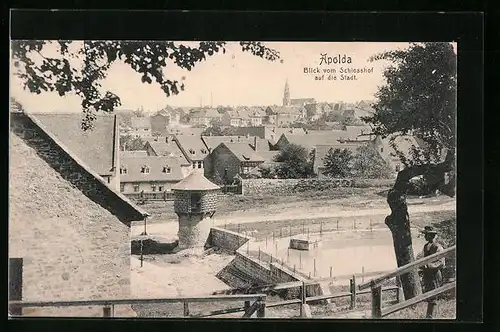 AK Apolda, Blick vom Schlosshof auf die Stadt