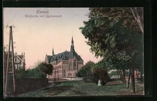 AK Einbeck, Wallpartie mit Gymnasium