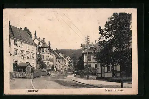 AK Triberg, Neue Strasse