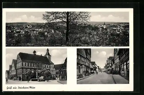 AK Steinheim /Murr, Panorama des Ortes und Strassenpartie