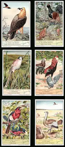 6 Sammelbilder Liebig, Serie Nr. 1408: Bärtige Vögel, Auerhahn, Trappe, Barthühner, Bartmeise