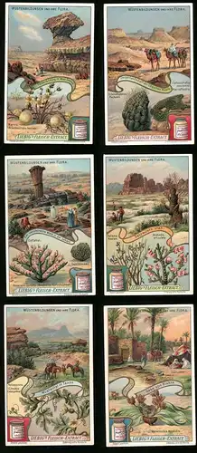 6 Sammelbilder Liebig, Serie Nr. 922: Wüstenbildungen und ihre Flora, Oase von Biskra, Salzwüste Utah, Sahara