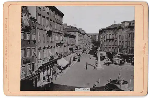 Fotografie Stengel & Co., Dresden, Ansicht Triest, Blick auf den Corso mit Pferdebahn
