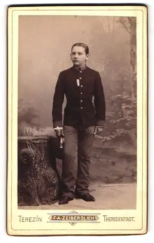 Fotografie F. A. Zeiberdlich, Theresienstadt, Portrait Knabe Ludwig Kanuer als K.u.K. Kadett in Uniform