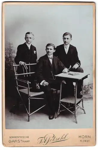 Fotografie F. A. Petschl, Horn /N. Oest., 3 Jungen im Anzug an Holzbank