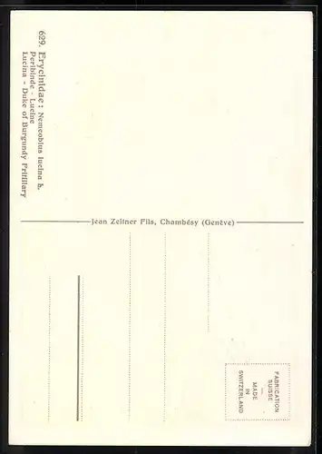 Künstler-AK Schmetterlinge auf Zweig mit Weidenkätzchen