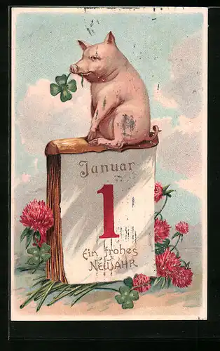 Präge-AK Schwein mit Kleeblatt auf Kalenderblatt - Neujahrsgruss