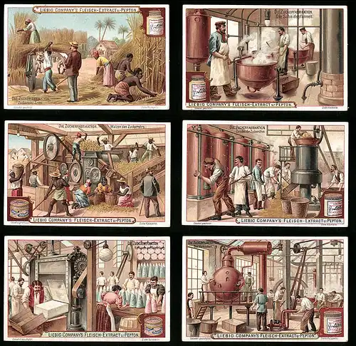 6 Sammelbilder Liebig, Serie Nr. 654: Die Zuckerfabrikation, Zuckerrüben, Industrie, Raffinade