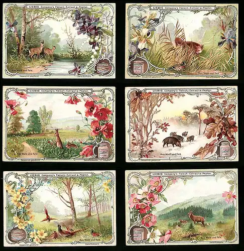 6 Sammelbilder Liebig, Serie Nr. 627: Aus Wald und Feld, Fuchs, Fasan, Feldhase, Wildschwein