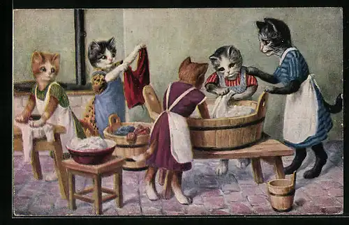 Künstler-AK Katzen in der Waschküche