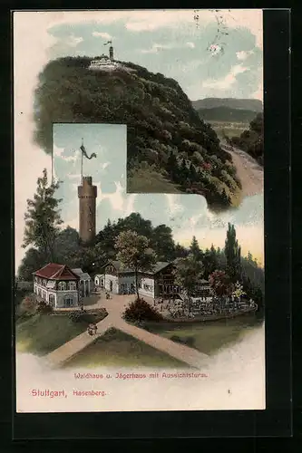 AK Hasenberg, Waldhaus u. Jägerhaus mit Aussichtsturm