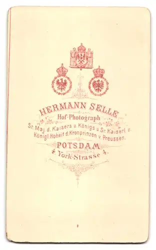 Fotografie H. Selle, Potsdam, Portrait feiner Herr im Anzug mit Fliege und Vollbart trägt Brille