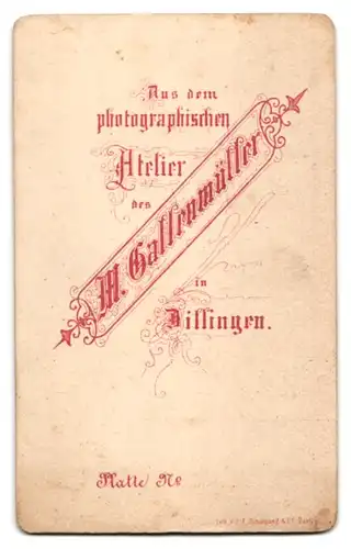 Fotografie M. Gallenmüller, Dillingen, Portrait junger Pastor im Talar mit Collar