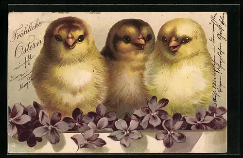 AK Osterküken sitzen auf Veilchen
