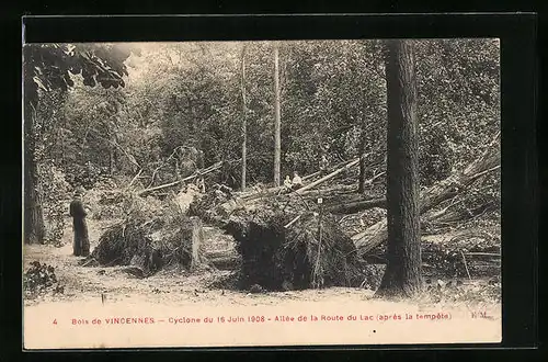 AK Le Bois de Vincennes, apres le Cyclone 1908 - Allee de la Route du Lac, Unwetter 1908