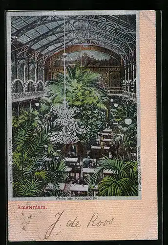 Seiden-Imitations-AK Amsterdam, Palmengarten und Cafe