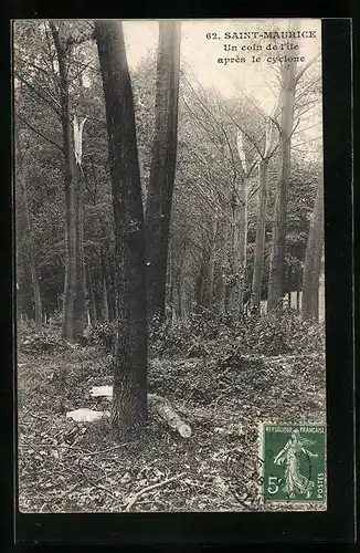 AK Saint-Maurice, Un coin de l`ile apres le cyclone 1908, Unwetter