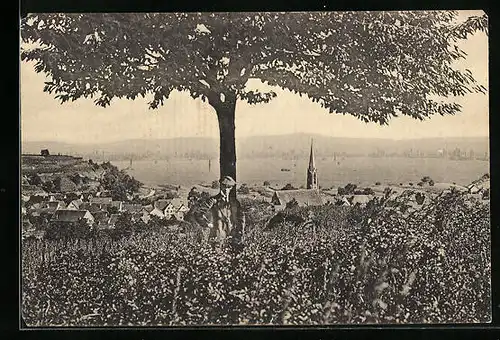 AK Eichstetten, Panorama des Ortes, mit Wanderer