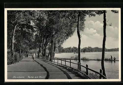 AK Mannheim, Partie am Rhein