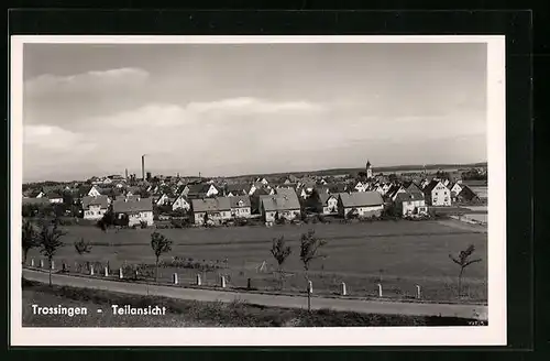 AK Trossingen, Ortspartie an eingezäunter Weide
