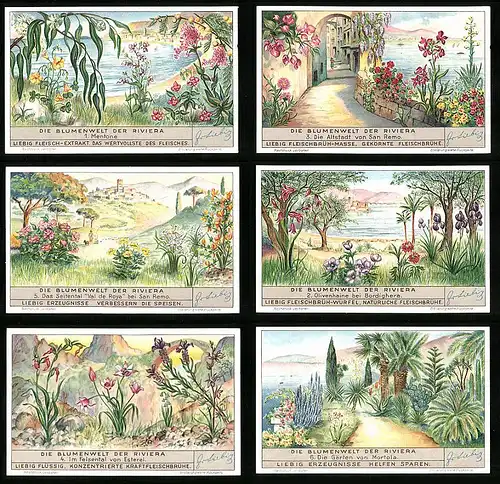 6 Sammelbilder Liebig, Serie Nr. 1354: Die Blumenwelt der Riviera, Mortola, Mentone, San Remo