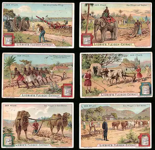 6 Sammelbilder Liebig, Serie Nr. 759: Der Pflug, Kamel, Etrusker, Ceylon, Elefant