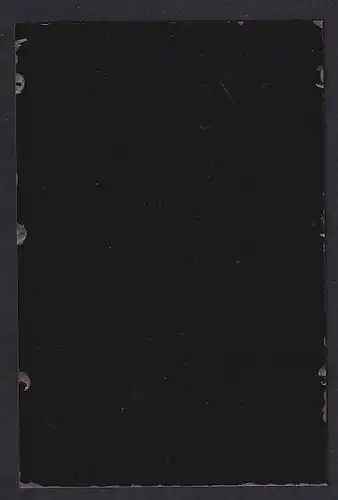 Fotografie Ferrotypie Mutter und Vater mit ihrem erwachsene Sohn im Anzug