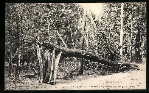 AK Vincennes, Effet du terrible cyclone 1908