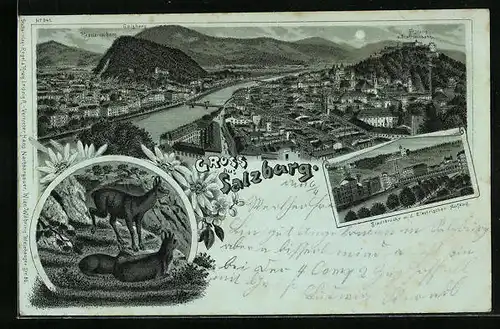 Mondschein-Lithographie Salzburg, Kapuzinerberg, Gämse, Festung u. Drahtseilbahn