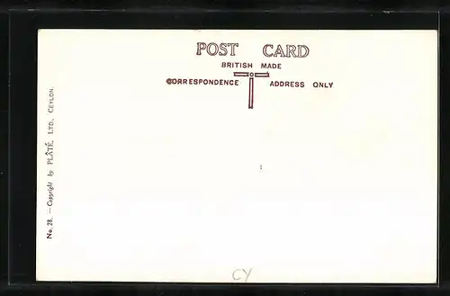 AK Ceylon, General view of tea estate showing factory