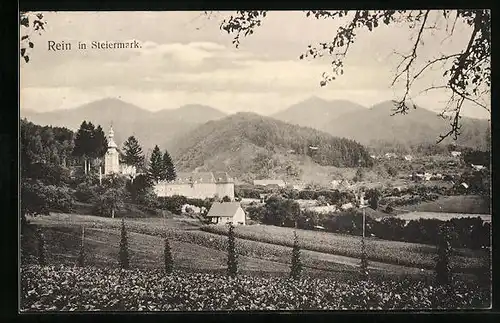 AK Rein, Ortsansicht vom Feld aus