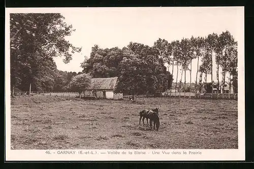 AK Garnay, Vallee de la Blaise, Une Vue dans la Prairie