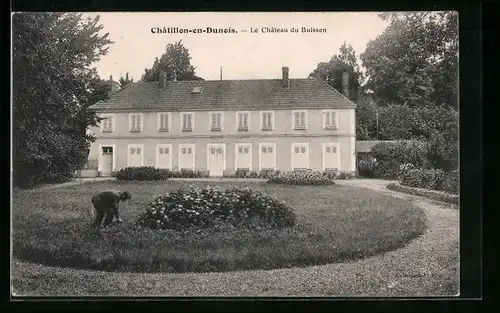 AK Chatillon-en-Dunois, Le Chateau du Buisson