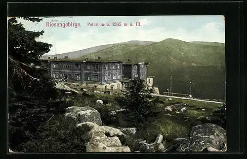 AK Peterbaude im Riesengebirge, Felsige Landschaft am Waldrand